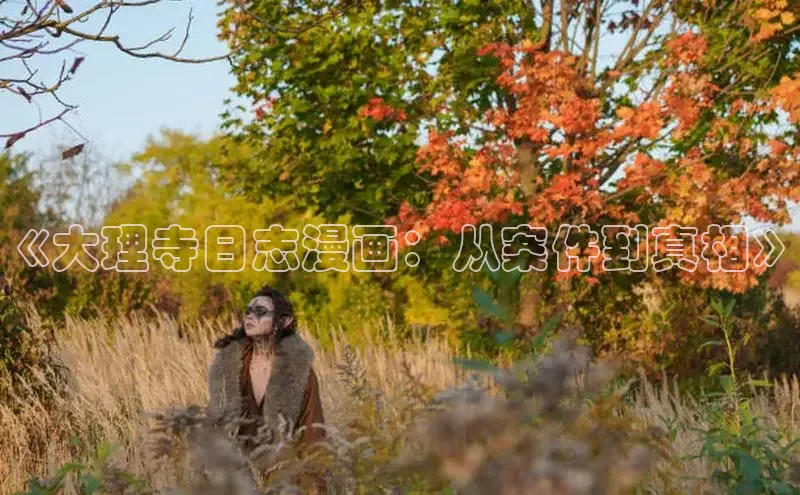 《大理寺日志漫画：从案件到真相》